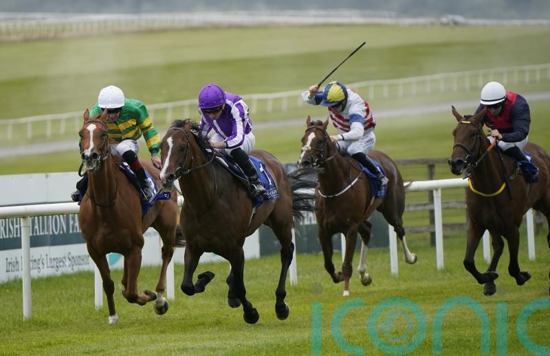 Continuous back to winning ways with Royal Whip strike