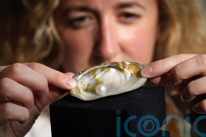 Freshwater pearl rakes in more than £93,000 at auction