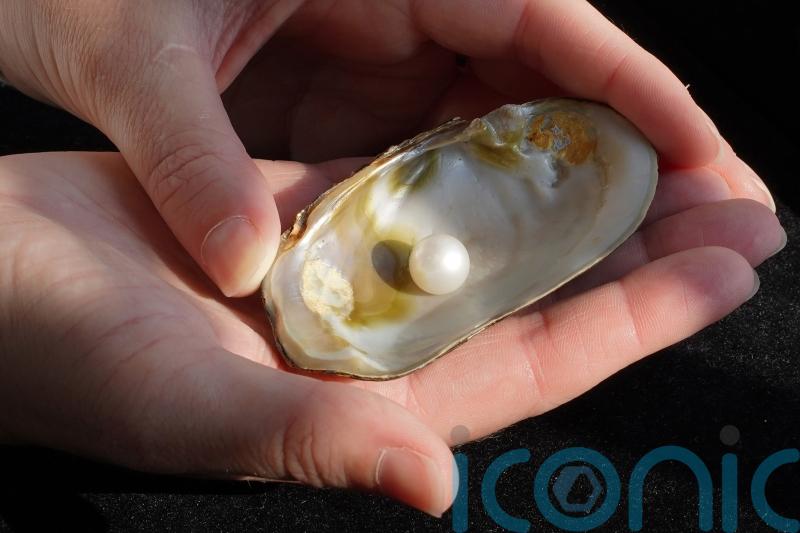 Famous freshwater pearl to stay in Scotland after selling for more than £93,000