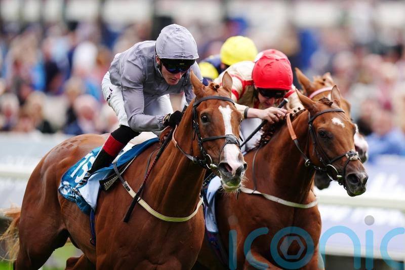 Thunder runs to York victory for Burke and Egan