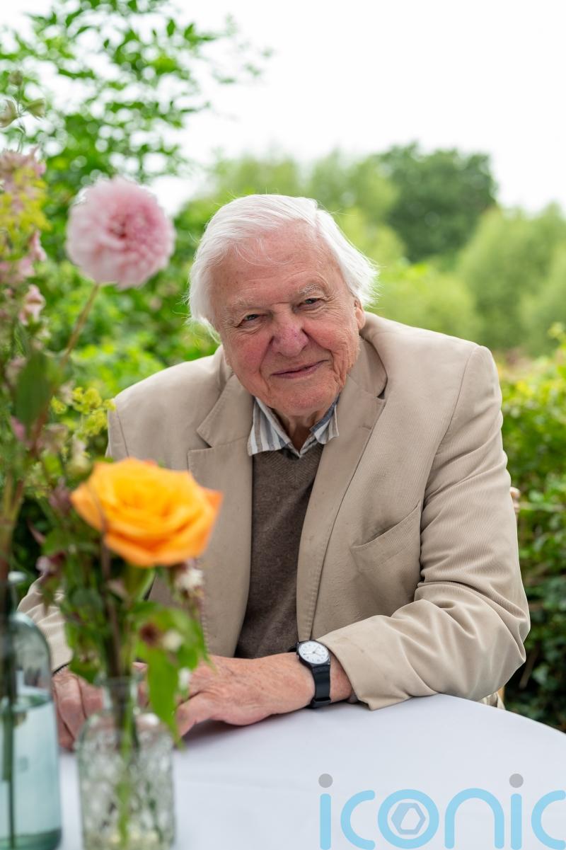 Sir David Attenborough honoured for supporting wildlife charities over 60 years