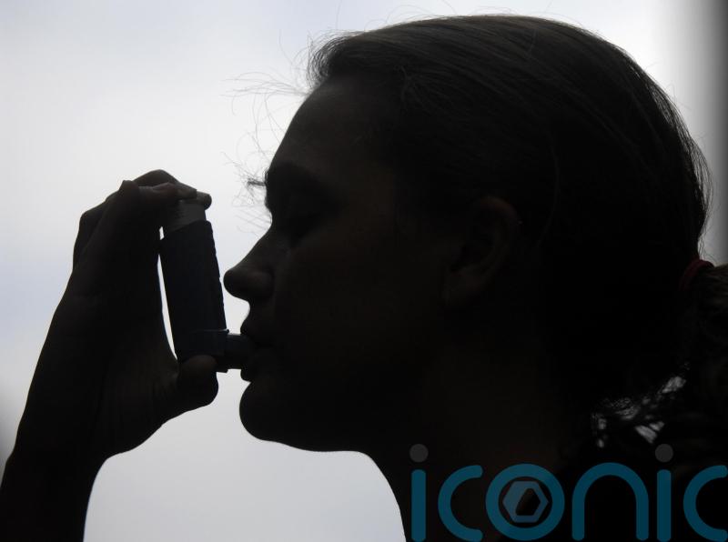 Asthma deaths highest since 1992, statistics show