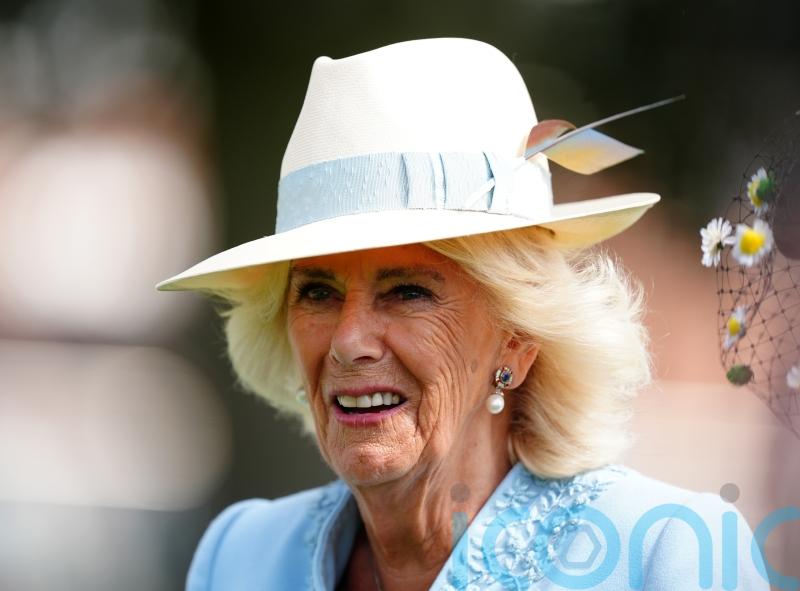 Queen meets former racehorse at Sky Bet Ebor Festival in York