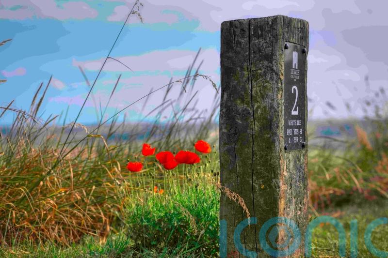 Golf courses go green in bid to boost biodiversity