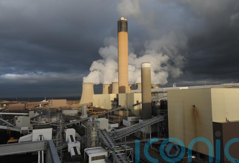 Miliband urged to end subsidies for firms burning wood for electricity