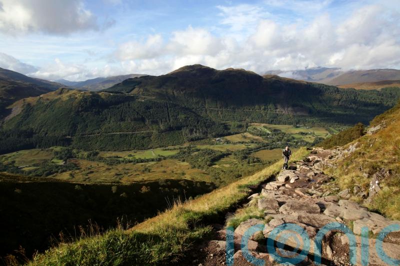 Environmental groups seek meeting with ministers over £5m cut to nature fund