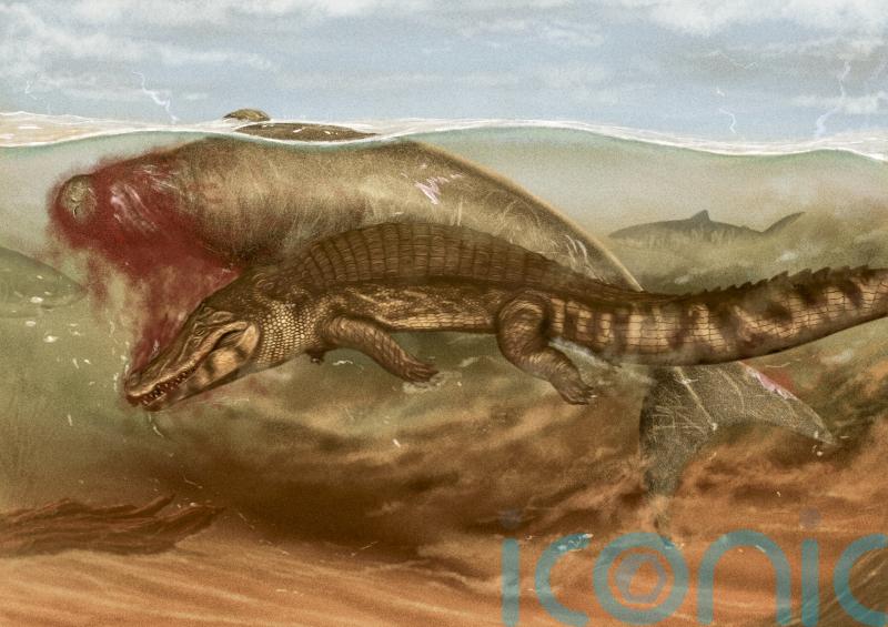 Ancient sea cow was attacked by crocodile and scavenged by shark – study