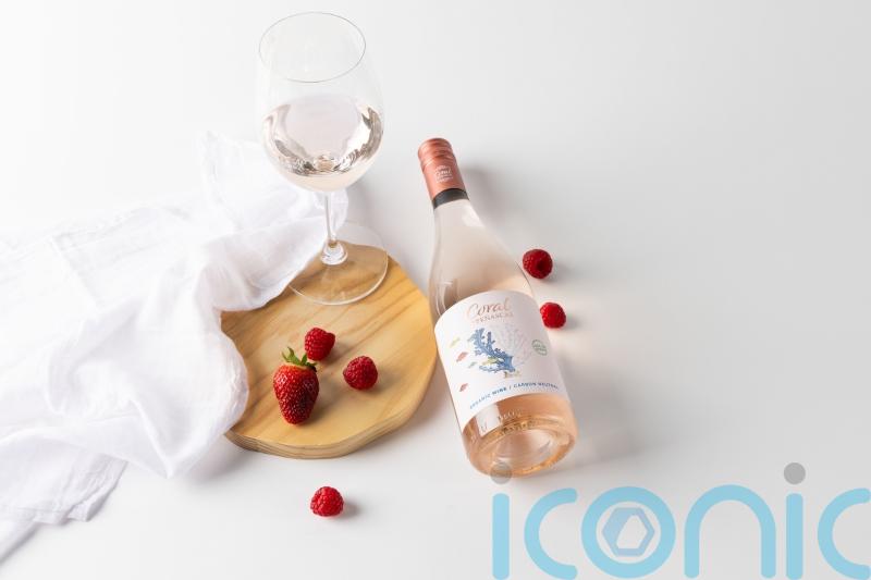 Radiant rosé wines to drink all year round