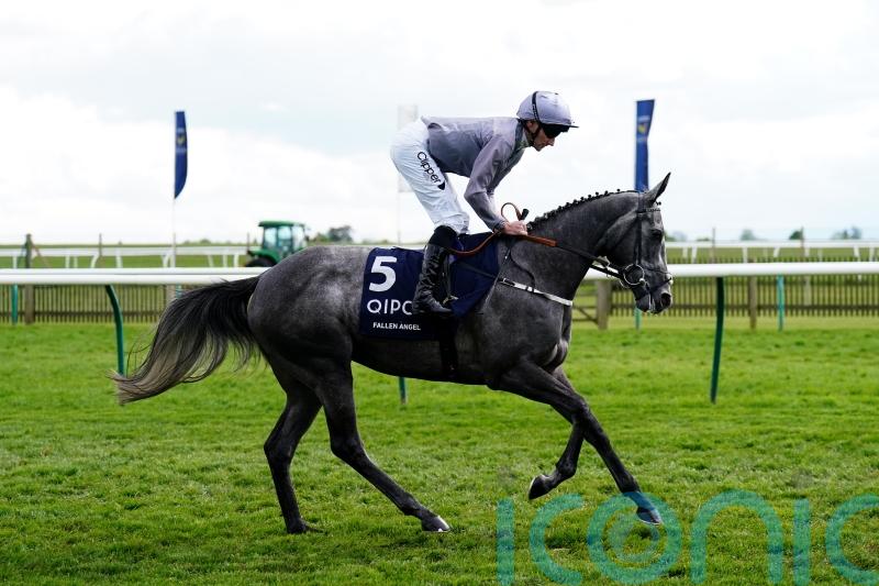 Wathnan Racing swoop for Irish Guineas heroine Fallen Angel