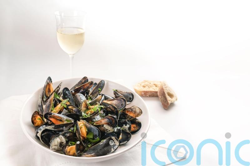 6 stylish white wines which work wonders with shellfish