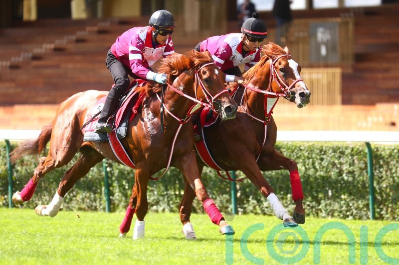 Shin Emperor all set for Irish Champion-Arc double after Paris gallop