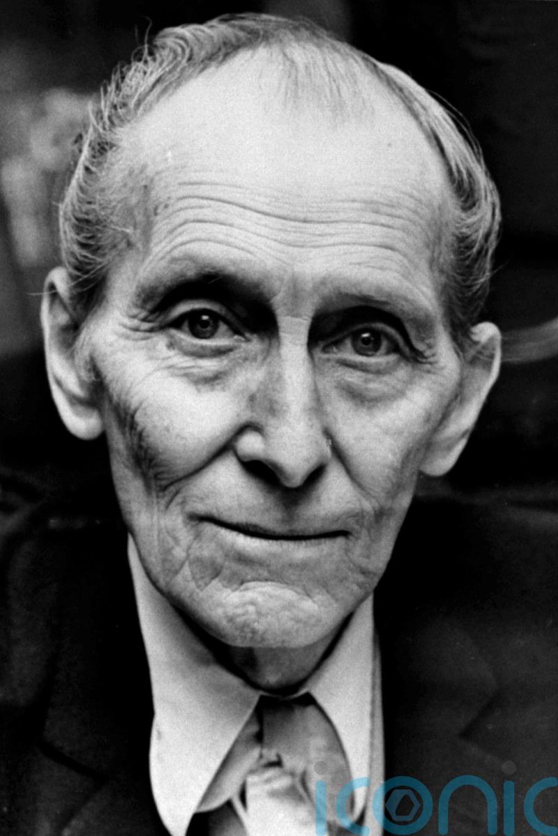 Legal battle over Peter Cushing’s image in Star Wars to go to trial, judge rules