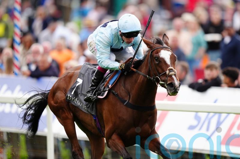 Scenic viewed as leading Park Hill contender by Walker