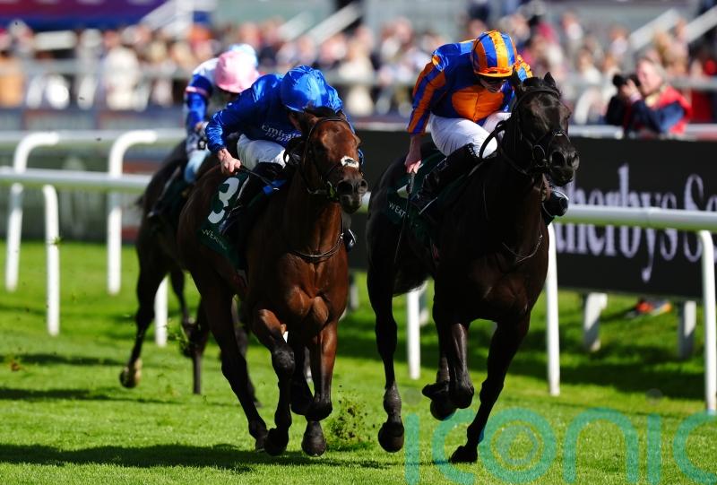 Hallasan shades tough battle to claim valuable victory