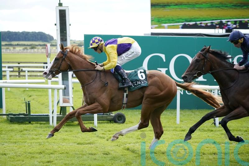 Scorthy Champ floors Henri Matisse in National surprise