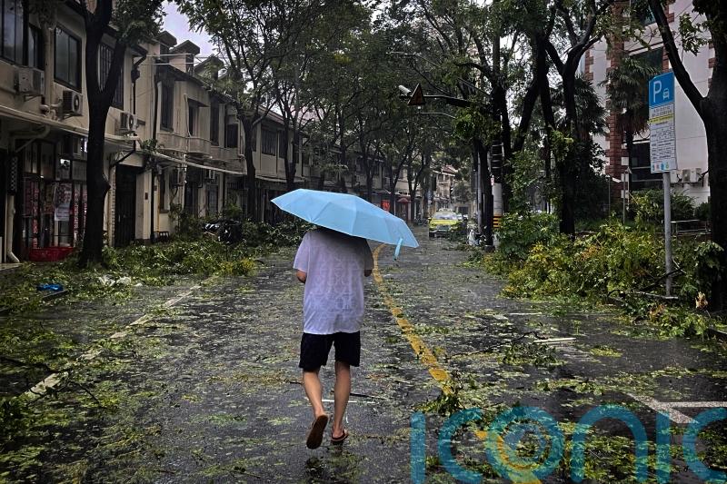 Typhoon knocks out power to some homes in Shanghai