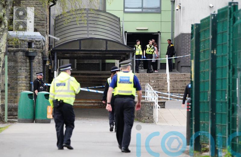 Girl accused of stabbing two teachers and pupil at school appears in court