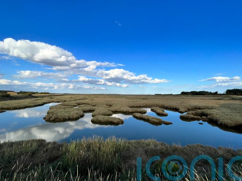 Coastal saltmarsh plays role in carbon storage, flood prevention and wildlife