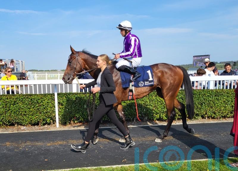 Antelope Canyon battles well at Naas