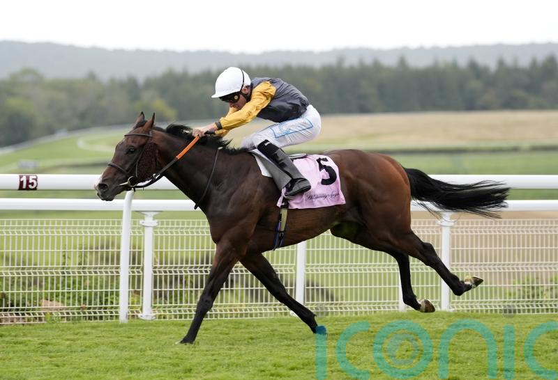 Witness Stand makes Tom Clover’s day at Newbury