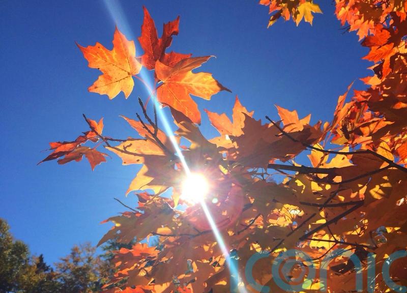 What you should be doing in the garden in October