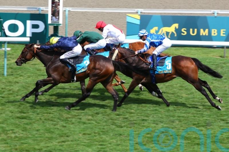 Fabre confident Sevigne can sparkle over Arc trip