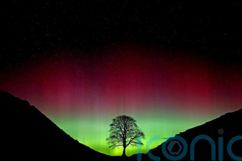 In Pictures: Sycamore Gap tree’s absence is felt a year on