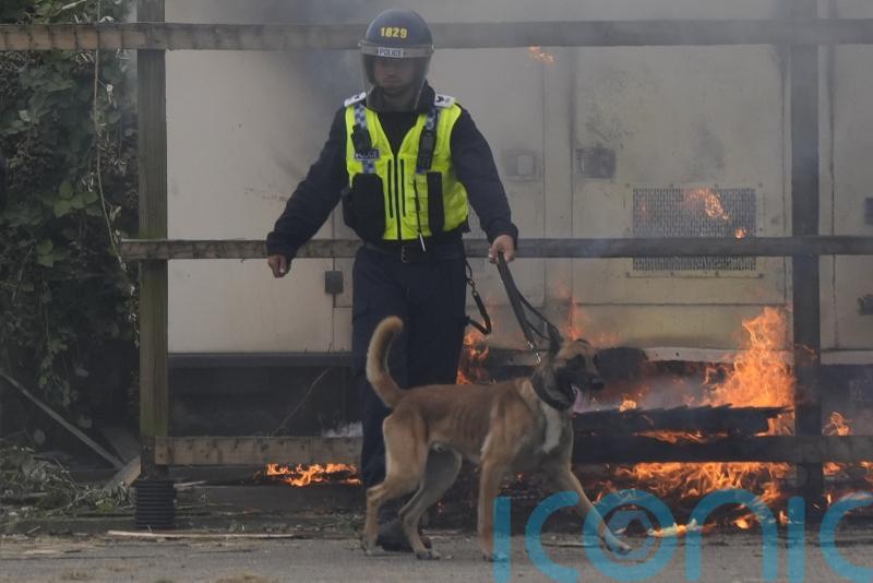 Police dogs should be phased out, Peta tells Met commissioner