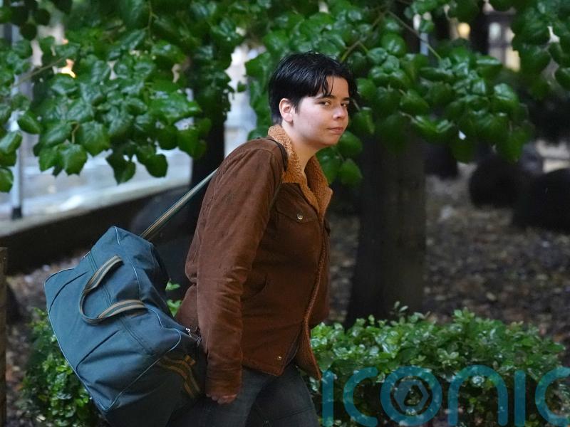 Eco-activists jailed for pouring soup over Vincent van Gogh&rsquo;s Sunflowers