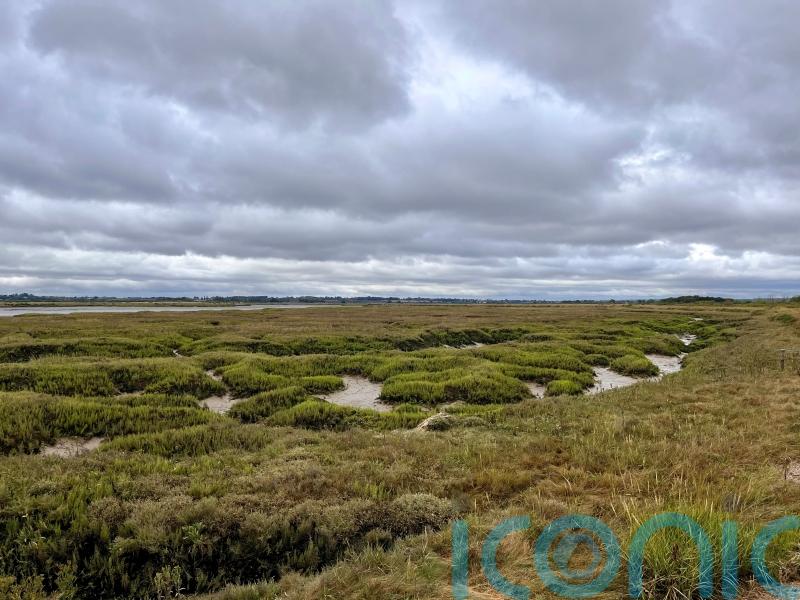 Conservationists warn ‘giant strides’ needed to close huge nature targets gap