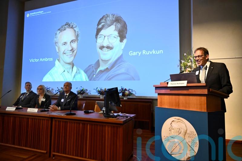 Nobel Prize in medicine honours two Americans over discovery of microRNA