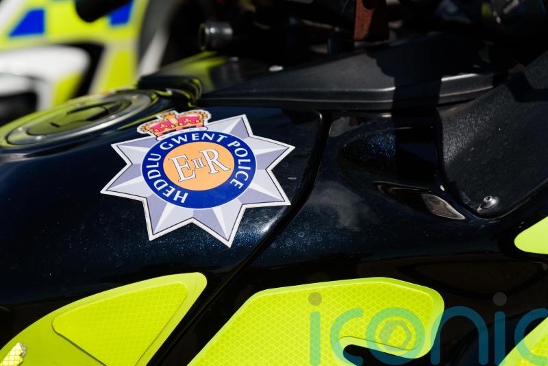 Girl, 12, suffers life-changing injuries in dog attack in Wales