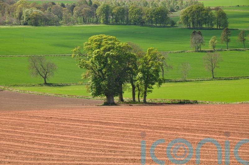 Action to protect soil urged as body warns Scotland ‘falling behind’