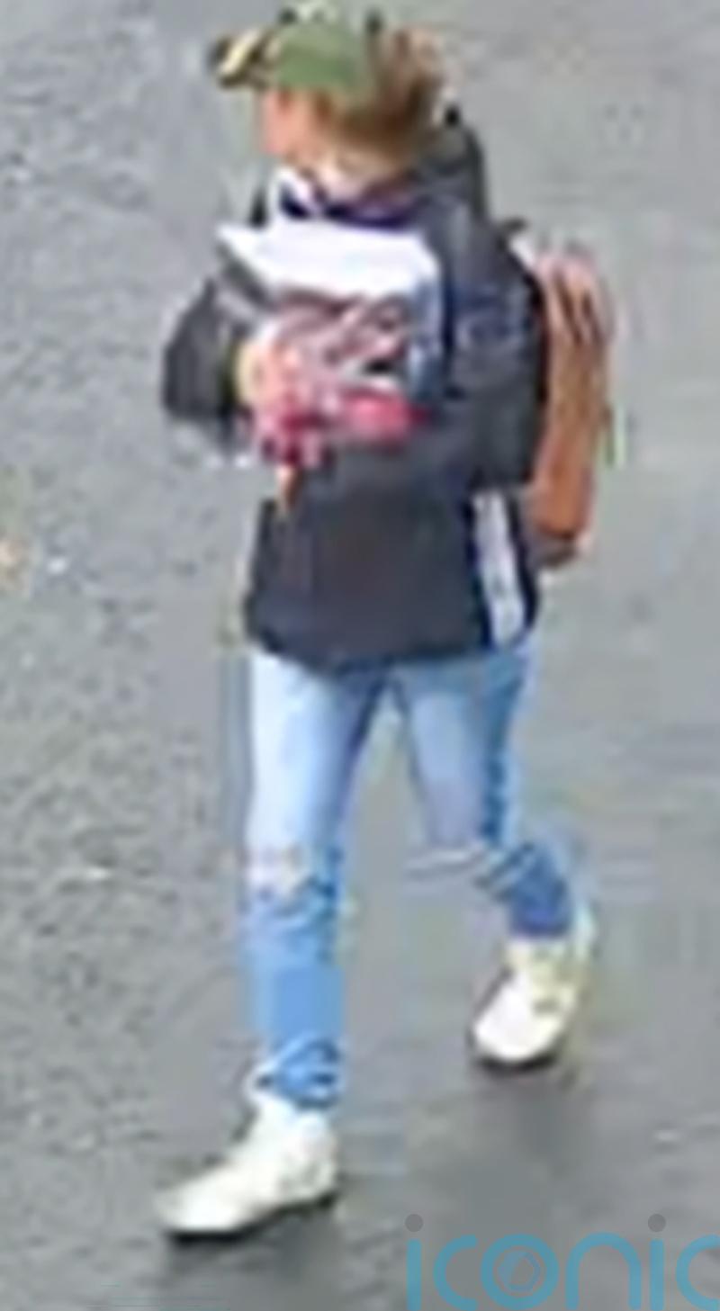 ‘Significant possibility’ missing woman entered the river, police say