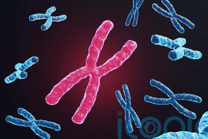 What is Fragile X syndrome and how do you know if you carry it?