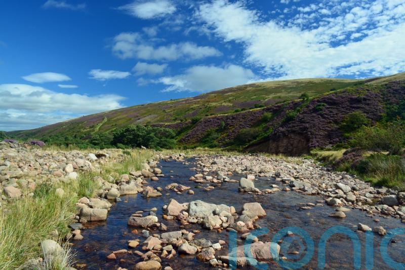 Government urged to set out rules for protecting 30% of land for nature