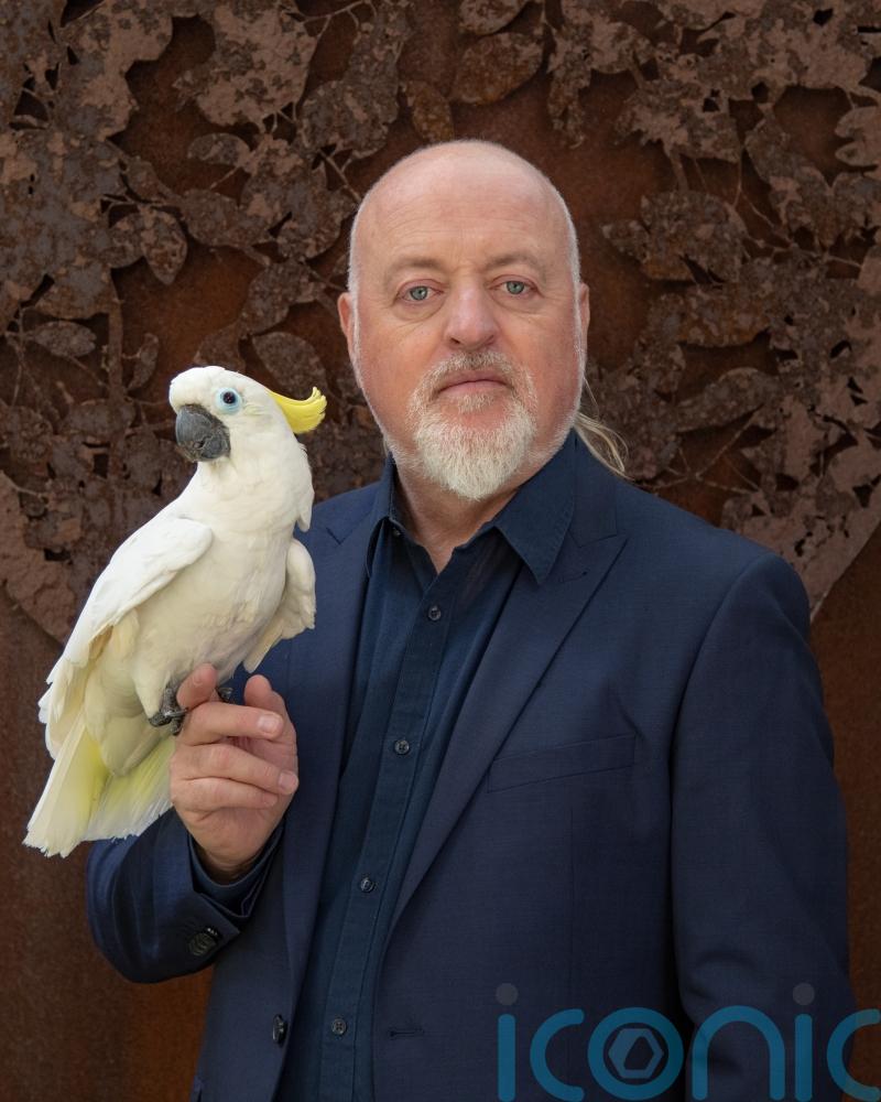 Armadillos, cockerels, whales and more: The ‘profound effect’ animals have had on Bill Bailey’s life