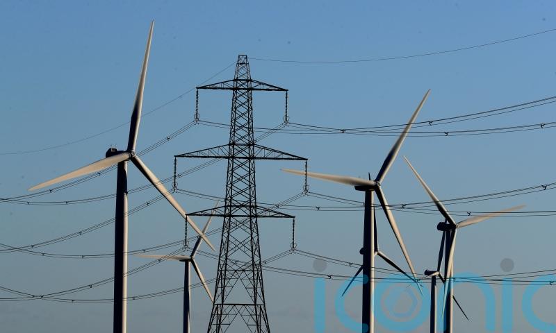 UK must build power infrastructure including pylons ‘at speed’, expert warns