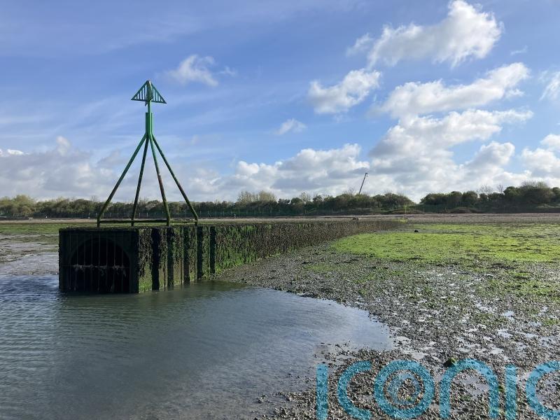 Level of ‘forever chemicals’ found to rise after sewage spills in protected area