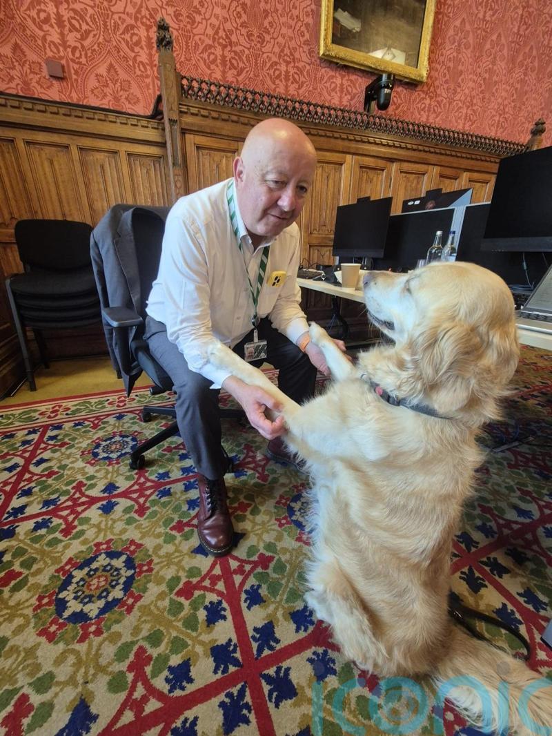 Jennie the guide dog plans on becoming ‘leader of the o-paw-sition’, her MP says
