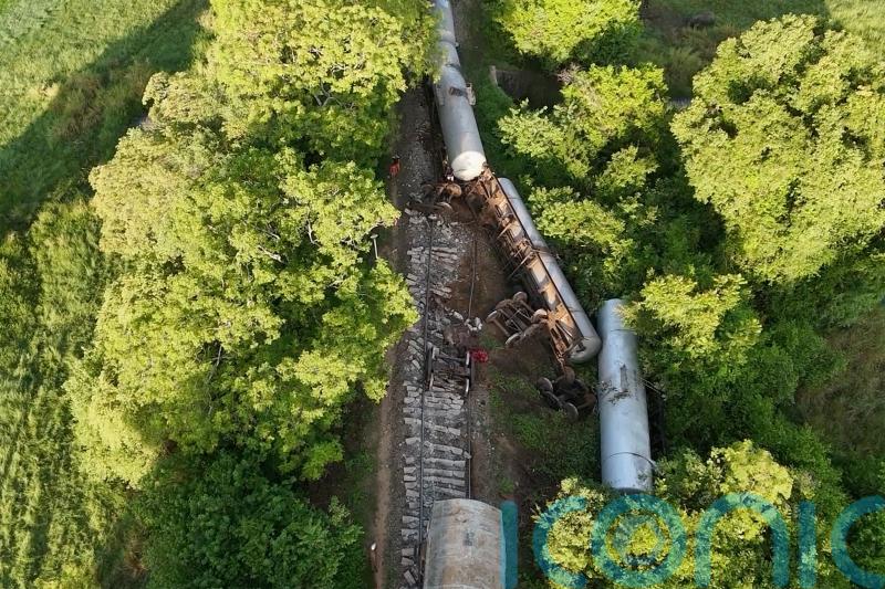 Train kills two wild elephants in Sri Lanka as fuel tankers derail