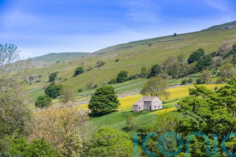 Cutting nature-friendly farming budget would be act of self harm, say Tory MPs