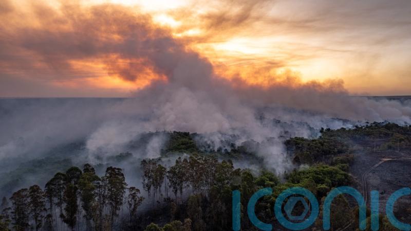 Cop16: What is the UN nature summit and what will negotiations involve?