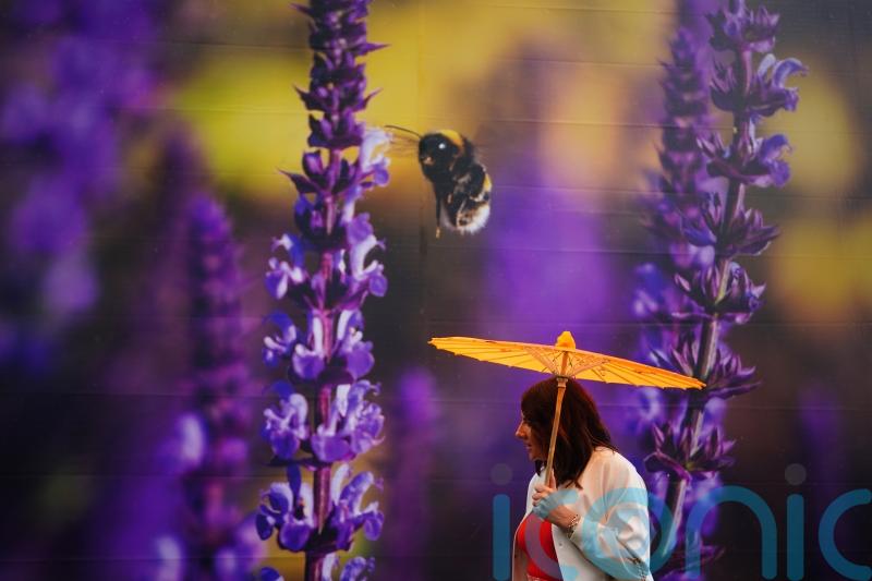 AI-assisted garden that can say how it is feeling set for Chelsea Flower Show