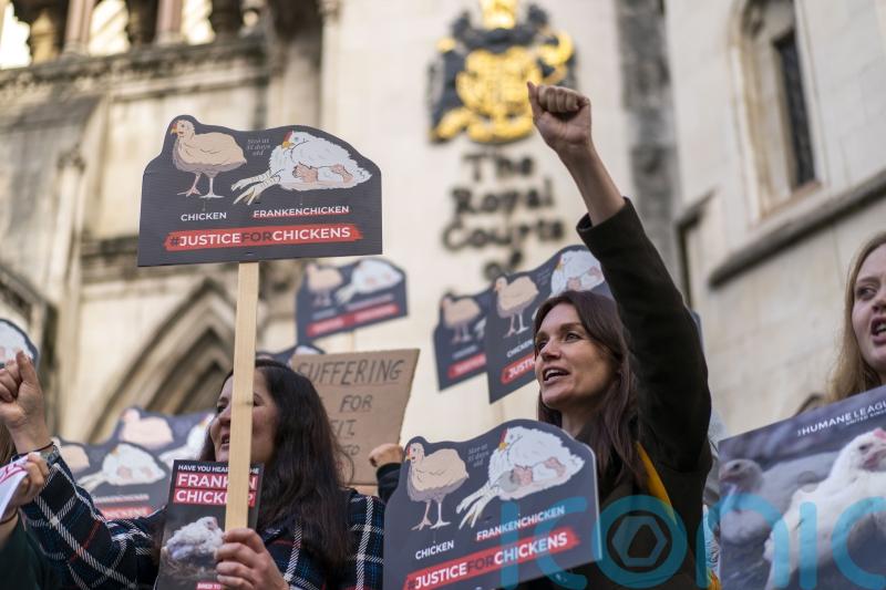 ‘Frankenchickens’ are like 28-stone three-year-olds, Court of Appeal hears