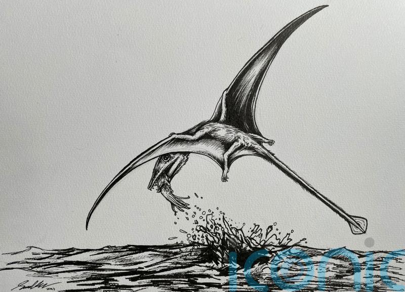 Prehistoric flying reptiles lived on diet of squid and fish, scientists reveal