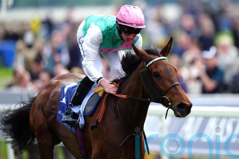 Arc victor Bluestocking retired to stud