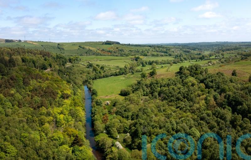 Wildlife groups secure bid to buy vast Northumberland estate for nature recovery