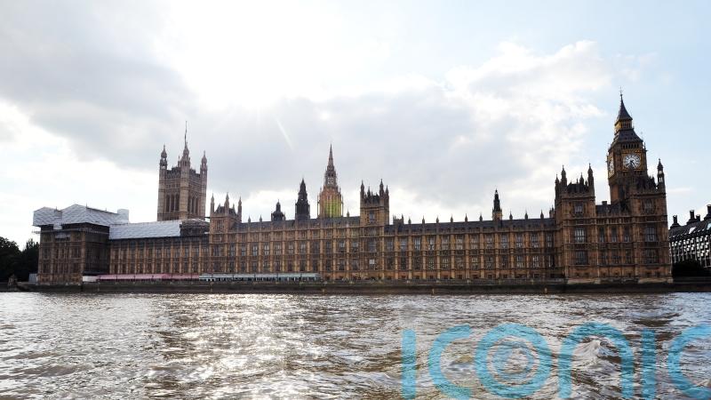 Pro-Palestine independent MP urges ‘halt the genocide’ in maiden speech