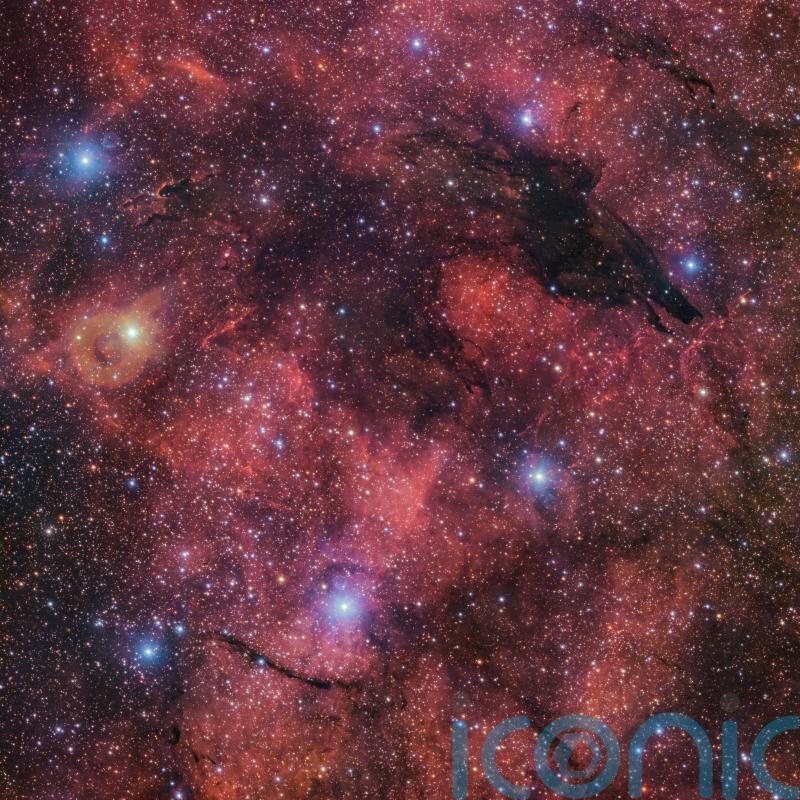 New image captures a ‘dark wolf’ in the cosmic sky